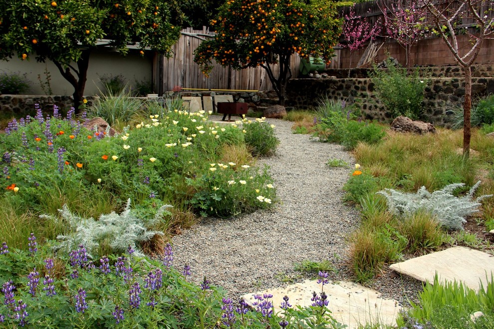 This is an example of a mediterranean backyard xeriscape in San Luis Obispo with a fire feature and gravel.