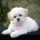 Last commented by Bhumika Jasani