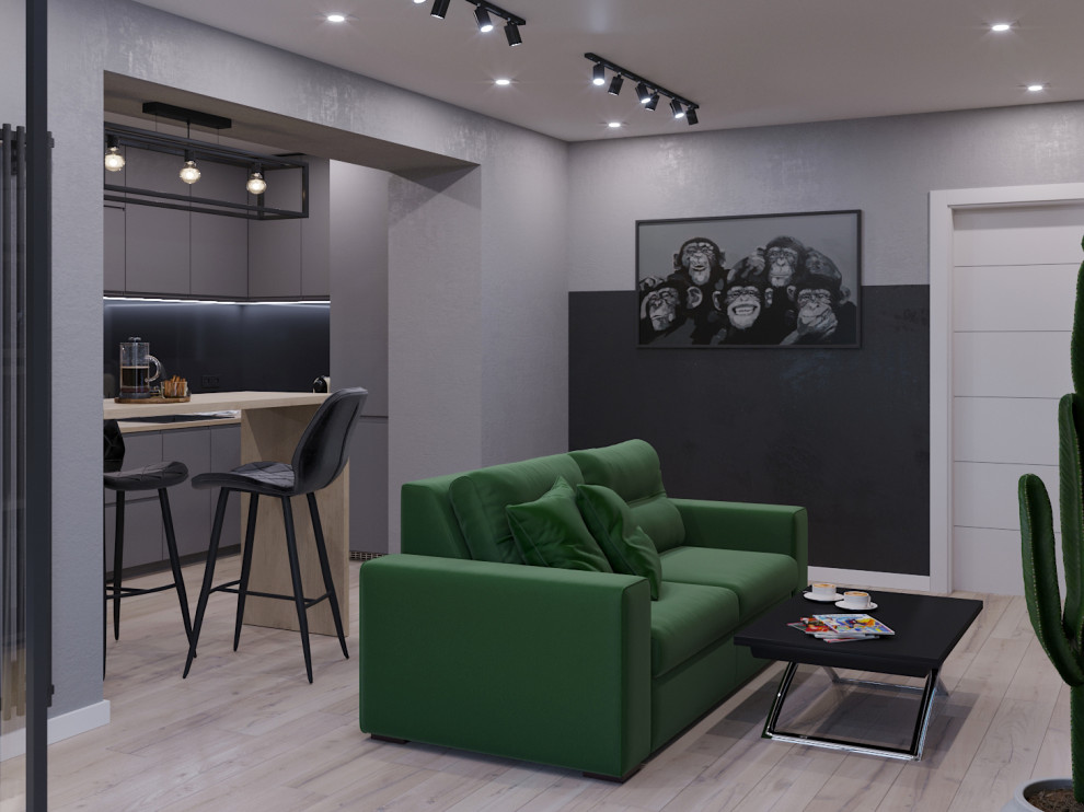 Кухня-гостиная для холостяка