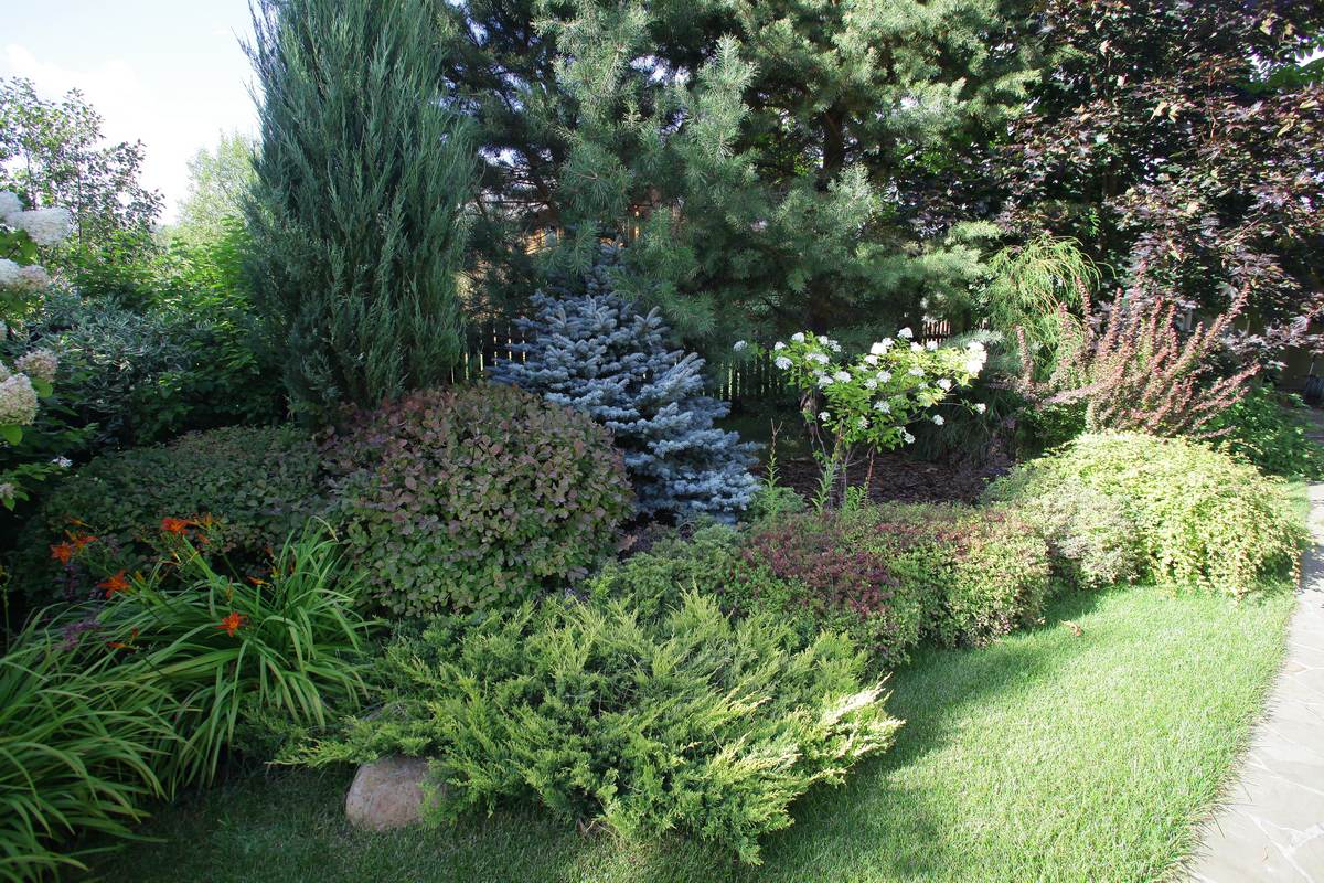 Витро Кантри 2