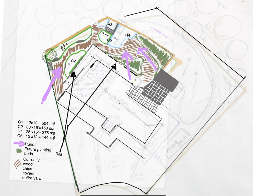Conservation and rain gardens landscape