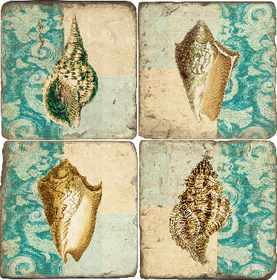 Shells with Fabric Background