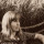 sandi_laveault