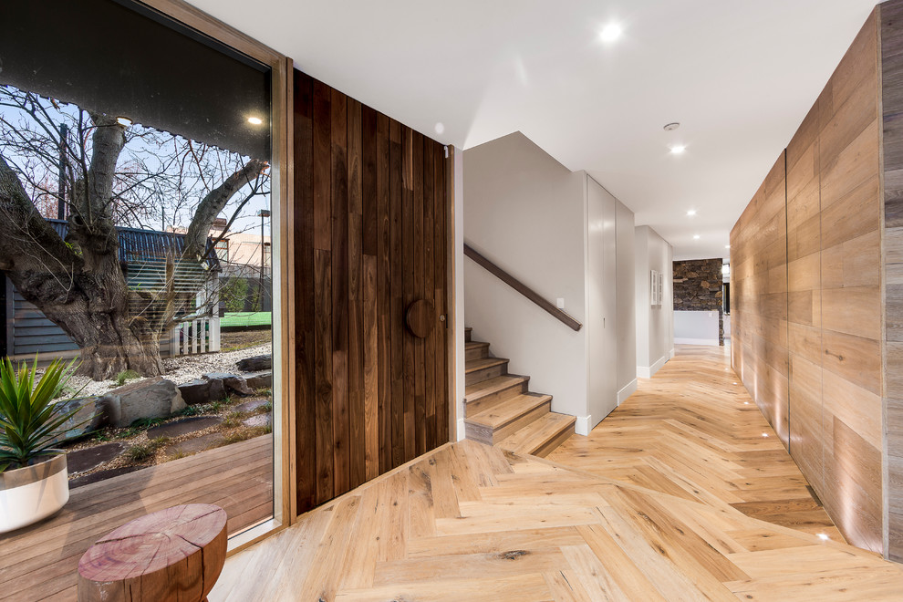 This is an example of a mid-sized modern entryway in Melbourne with multi-coloured walls, light hardwood floors, a pivot front door, a light wood front door and brown floor.