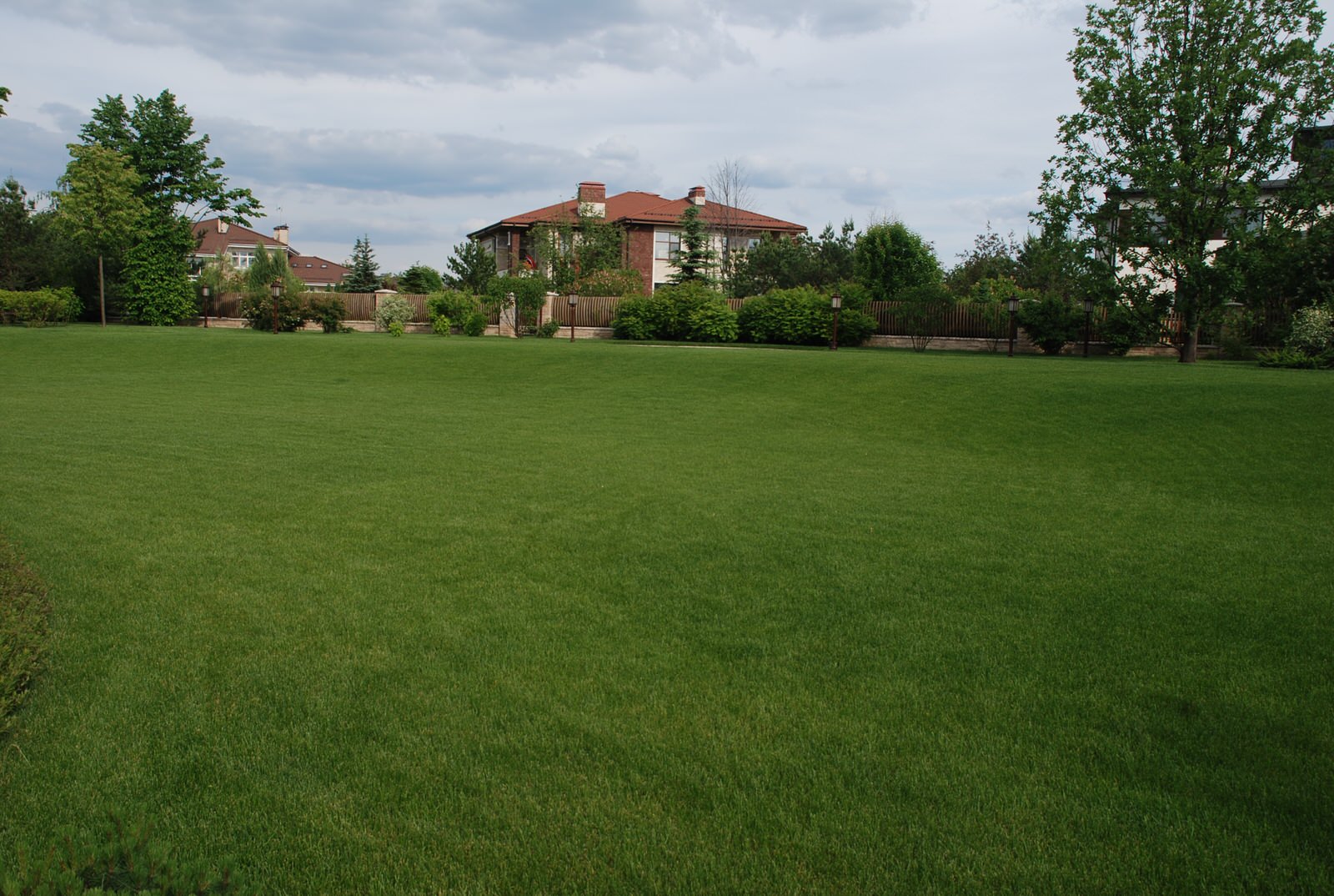 Сад в КП Миллениум Парк