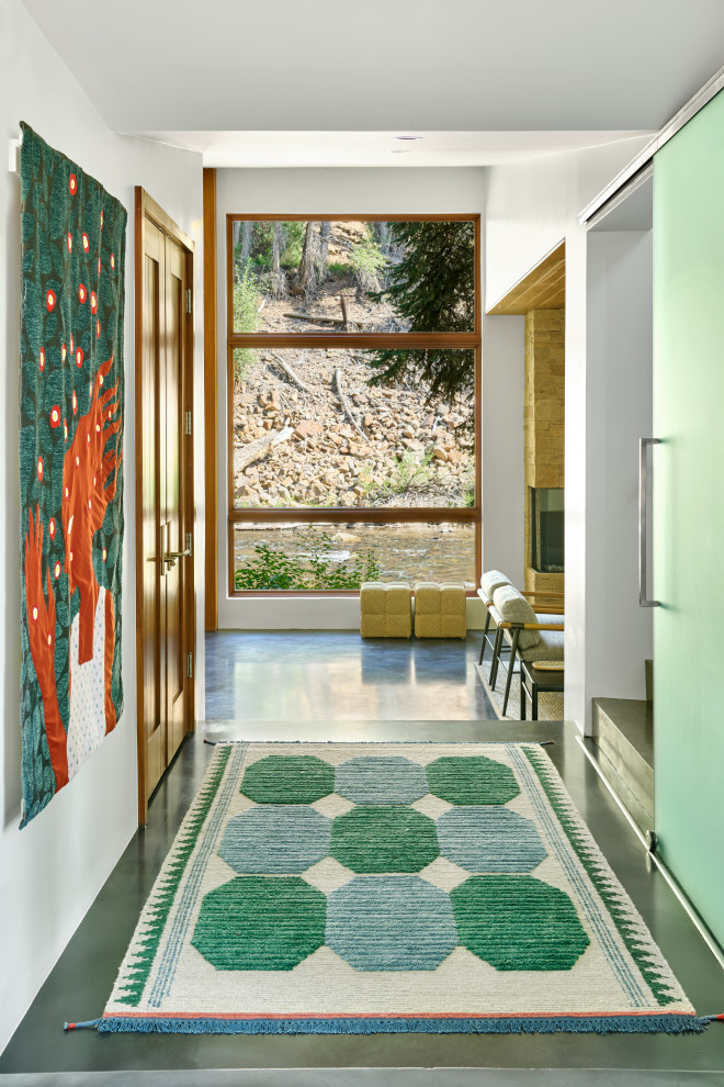 Immagine di un ingresso o corridoio design con pareti bianche, pavimento in cemento e pavimento grigio