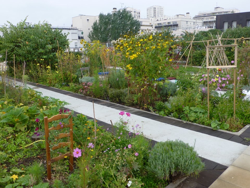 Design ideas for a landscaping in Paris.
