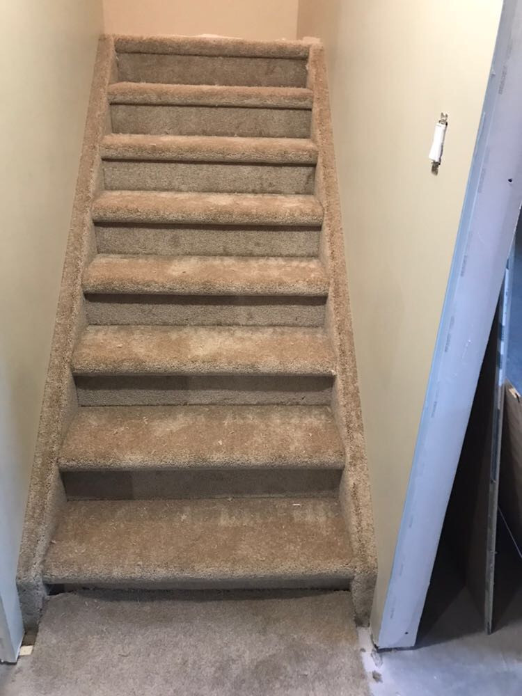 Carpet