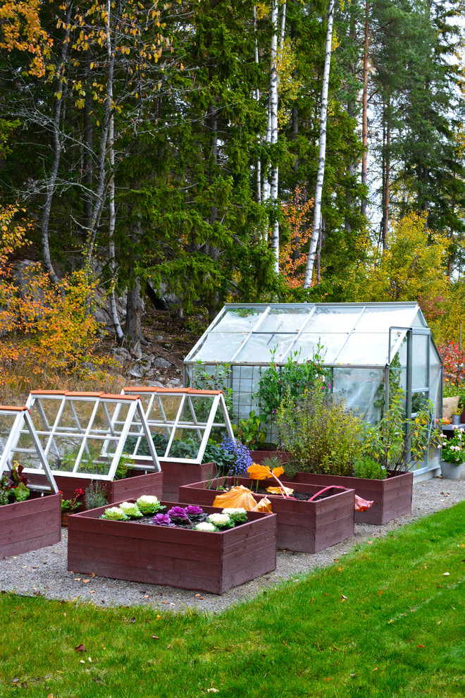 Photo of a country backyard garden for fall in Stockholm with a vegetable garden and gravel.