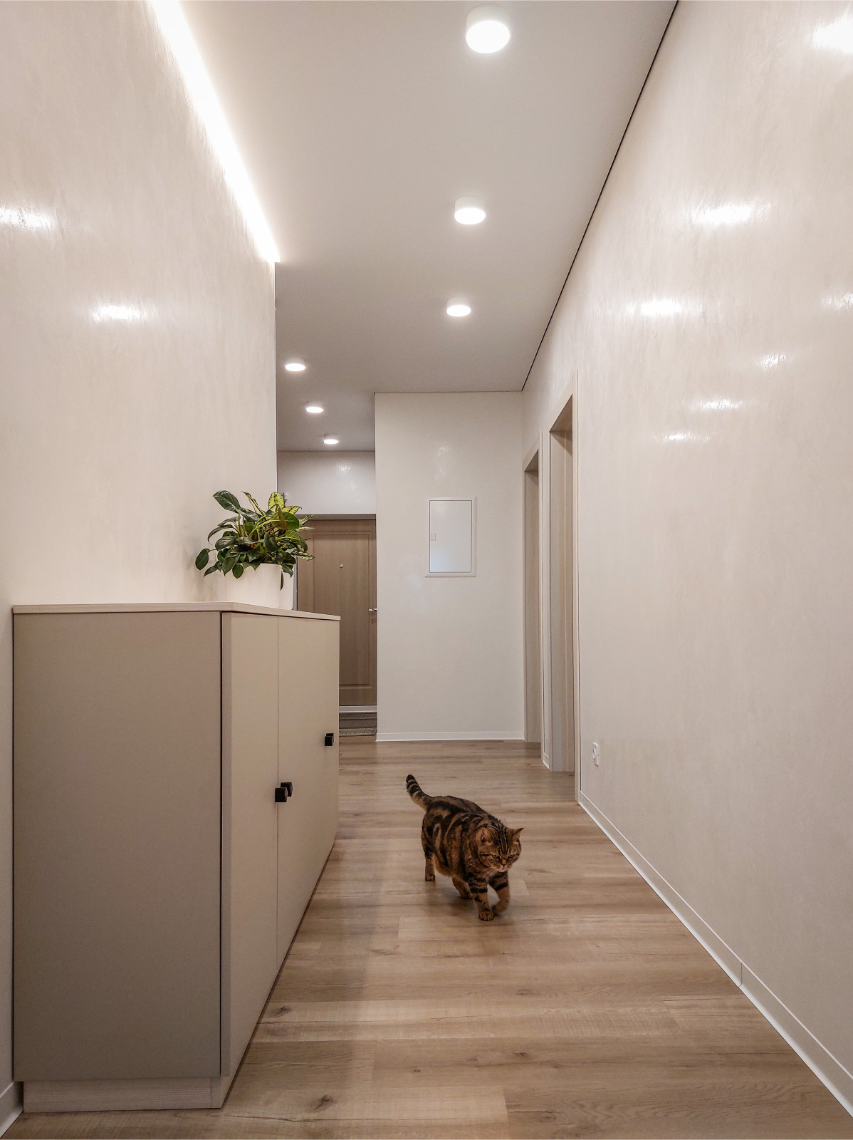 Частная квартира на Учебной