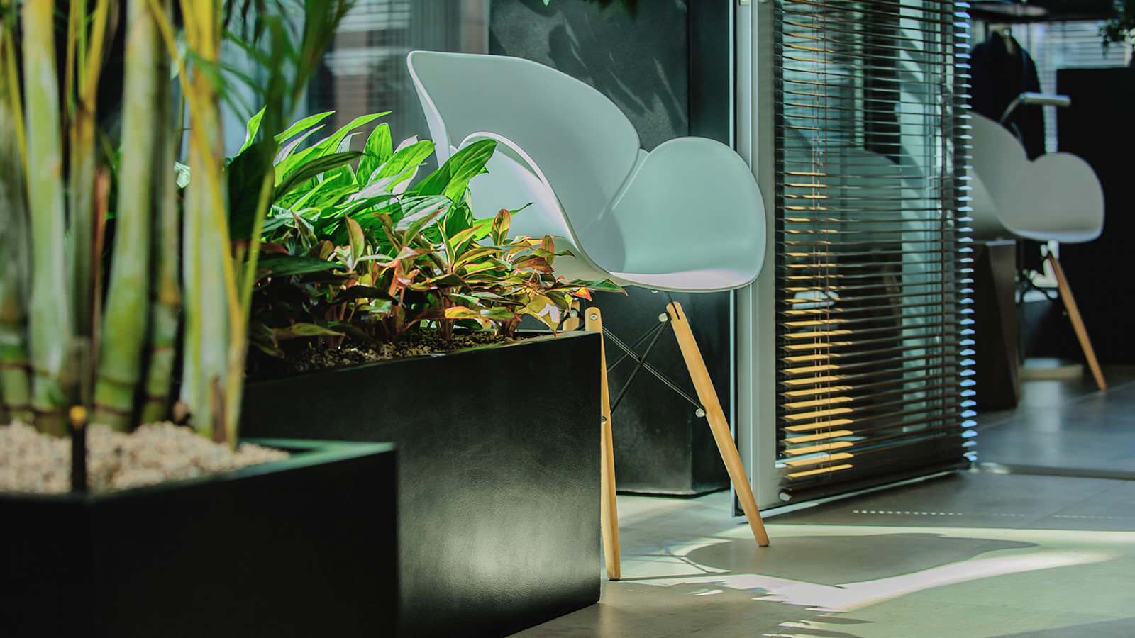 Озеленение клиники Топ Физио в Москве