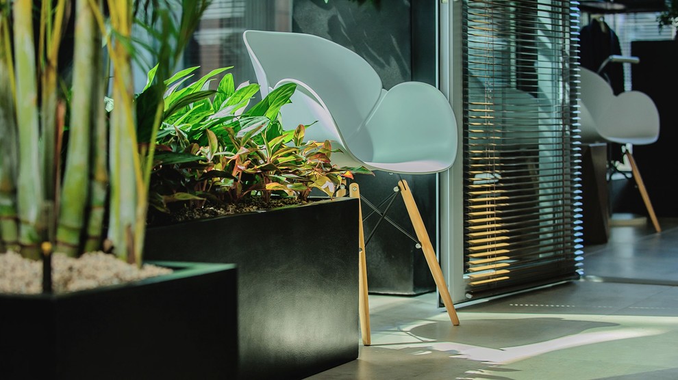 Озеленение клиники Топ Физио в Москве