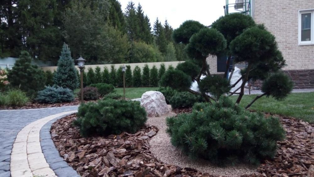 Ландшафтный дизайн небольшого участка