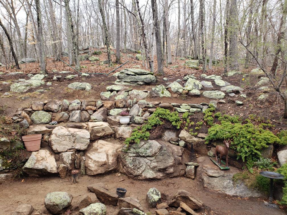 237 Chestnut Hill backyard landscaping and fire ring