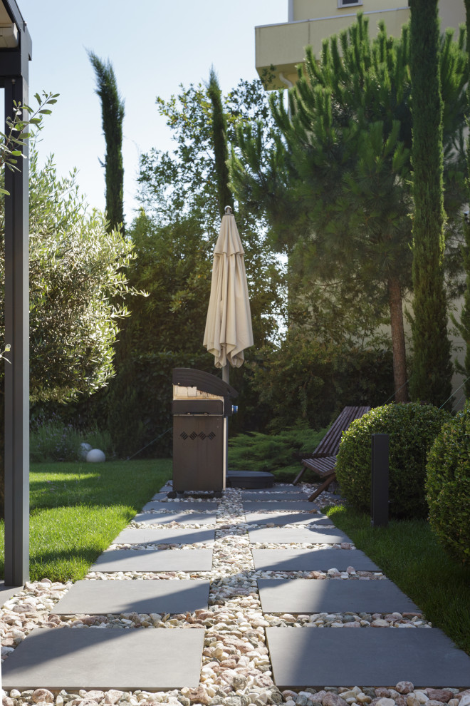 Розмарин. Ландшафтный Дизайн