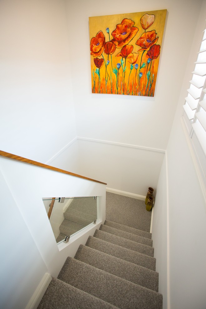 This is an example of a small modern straight staircase in Brisbane with carpet risers and mixed railing.