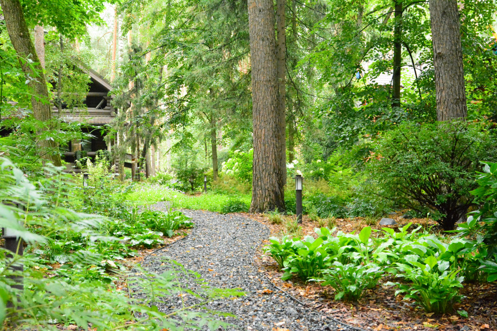 Заповедный бор