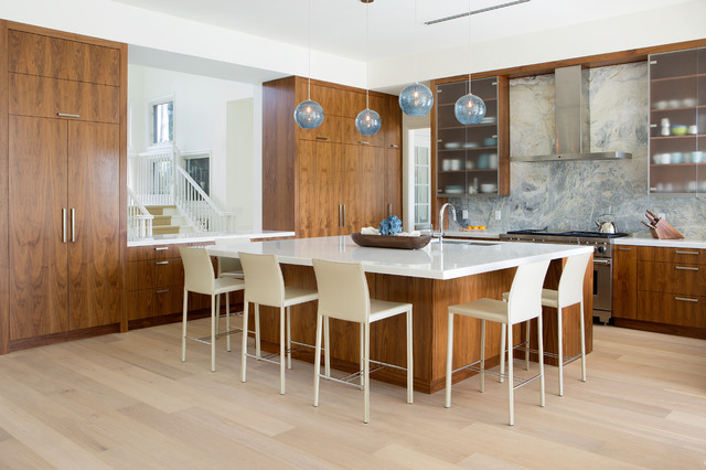 Contemporary Kitchen trendy-koekken