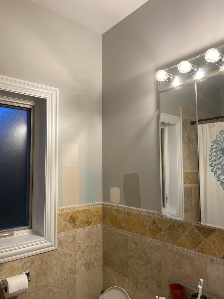 Help with Paint for Tiny North Facing Bathroom