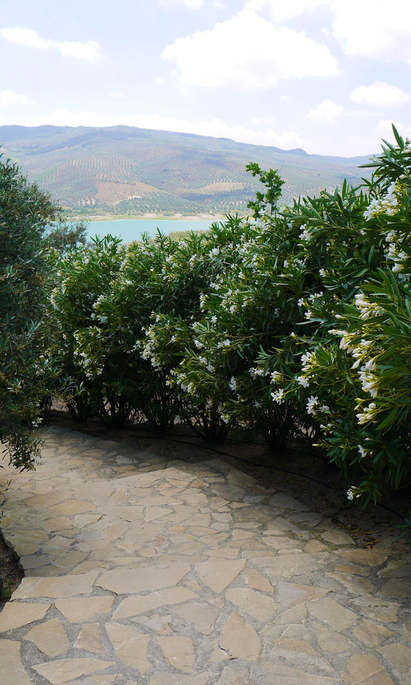 Modelo de jardín mediterráneo de tamaño medio en patio con adoquines de piedra natural