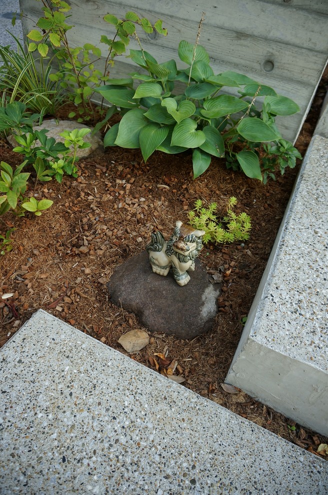 横浜にあるおしゃれな庭の写真