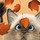 Last commented by privatejapanesemaplesanctuary