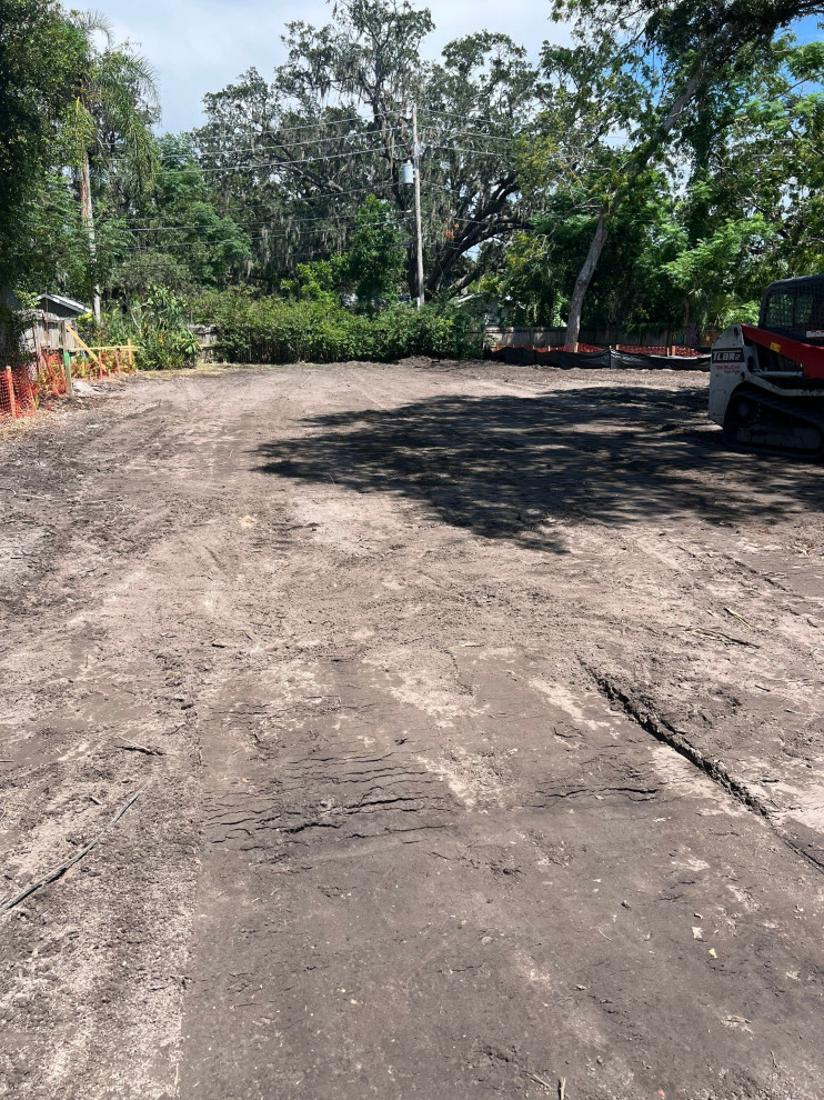 Safety Harbor Project 2024