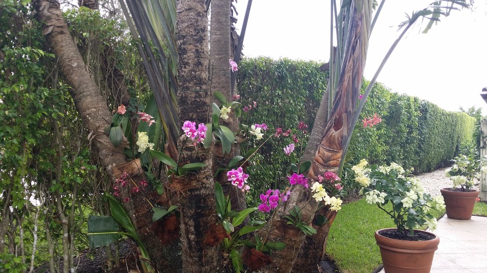 This is an example of a garden in Miami.