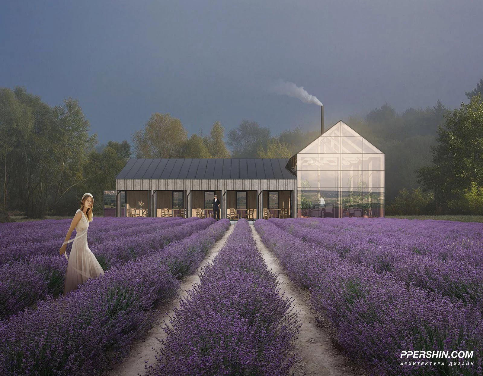 Общественный центр поселка Брусника Барн