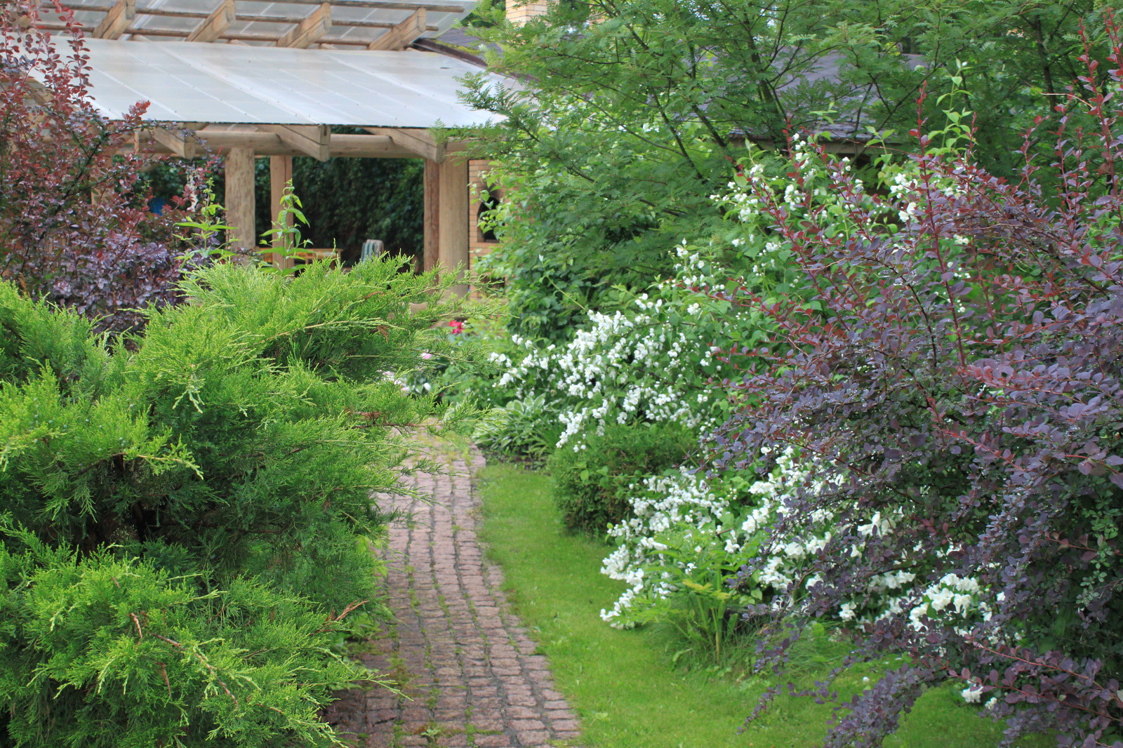 Лесная жизнь