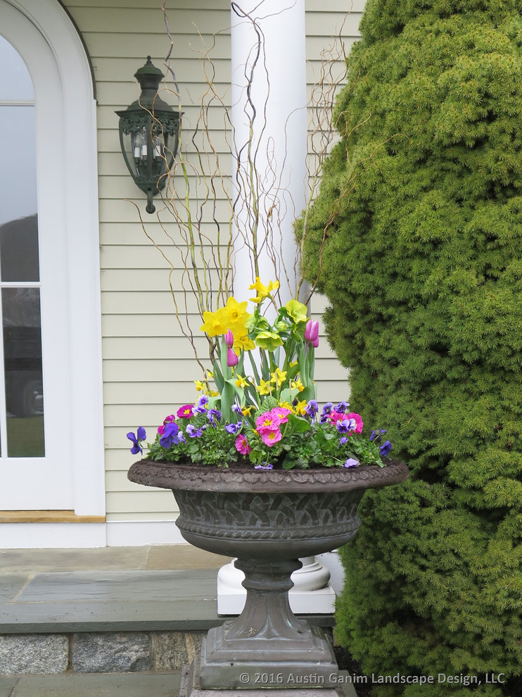 Inspiration for a traditional front yard full sun garden for spring in New York.