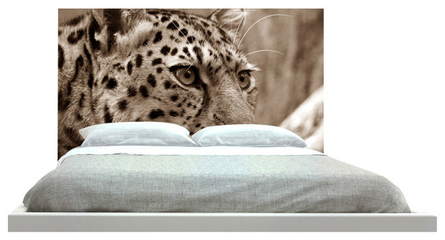 cat headboard