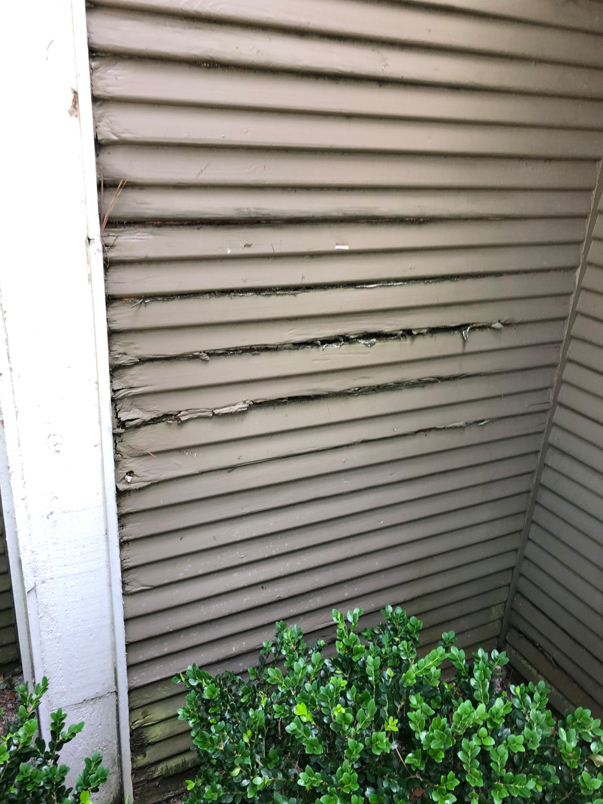 Wood Siding Repair and Re-paint
