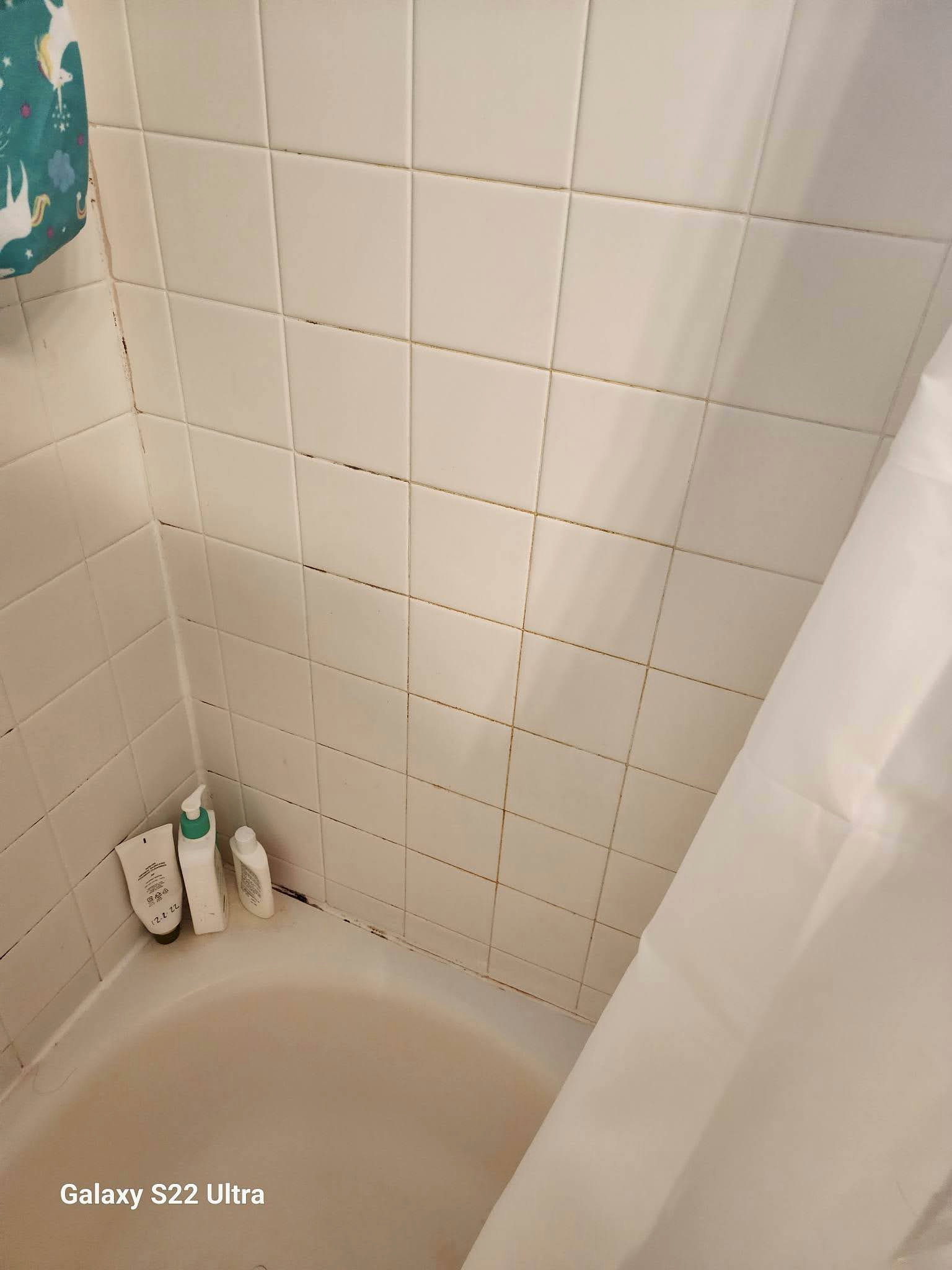 Redmond Bathroom Renovation