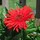 bobbi_wheeler