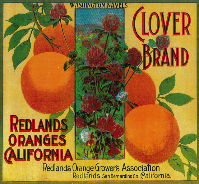 Redlands Moon Brand California Orange Citrus Fruit Crate Label Print