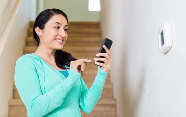 Security Systems 