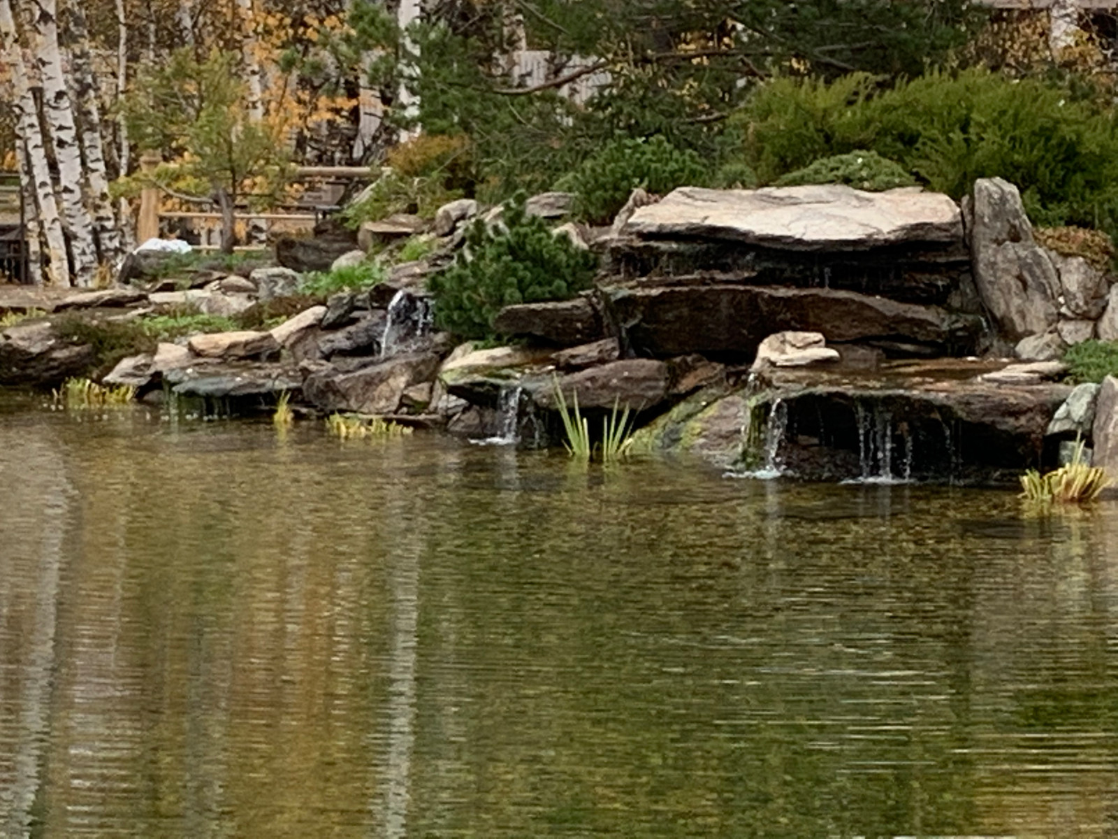Проект сада с водоемом
