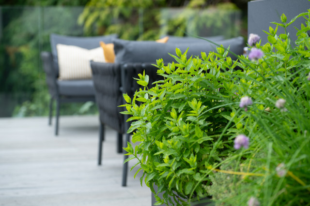 Gardeners Cottage contemporary-deck