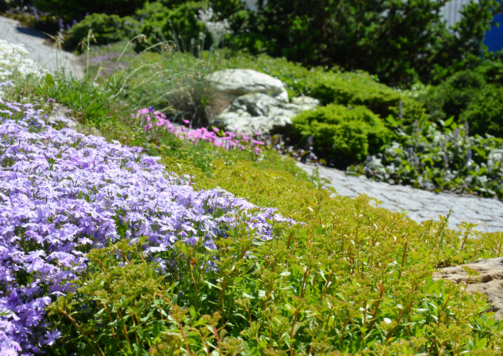 Итальянский сад в КП Европа 2013 г