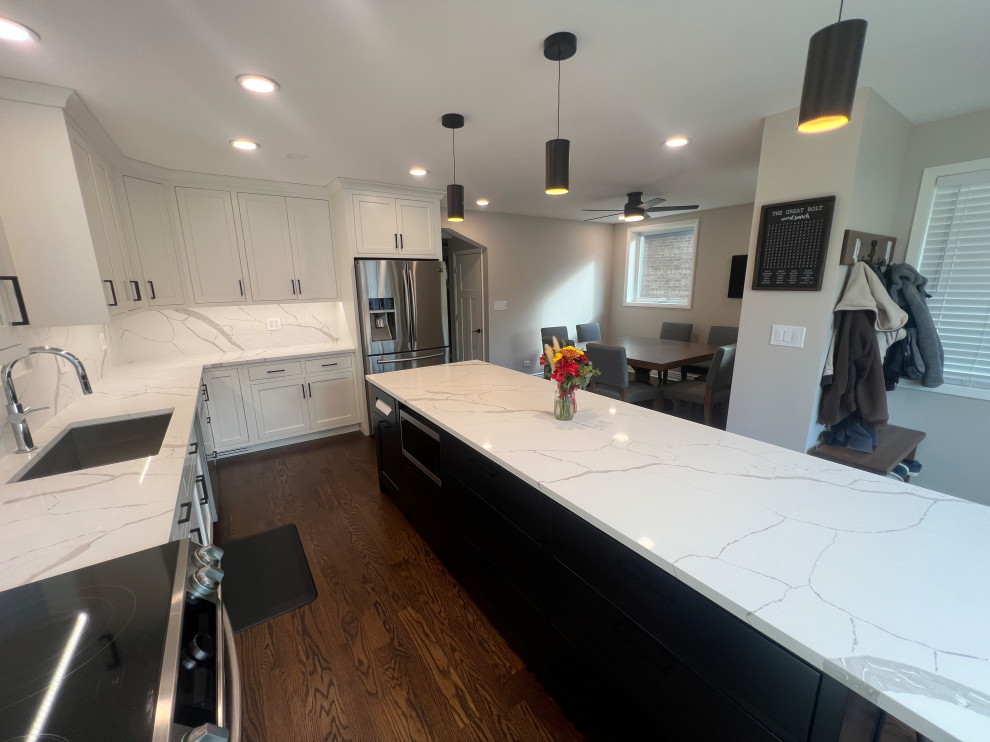 Chicago Kitchen/Dining Renovation