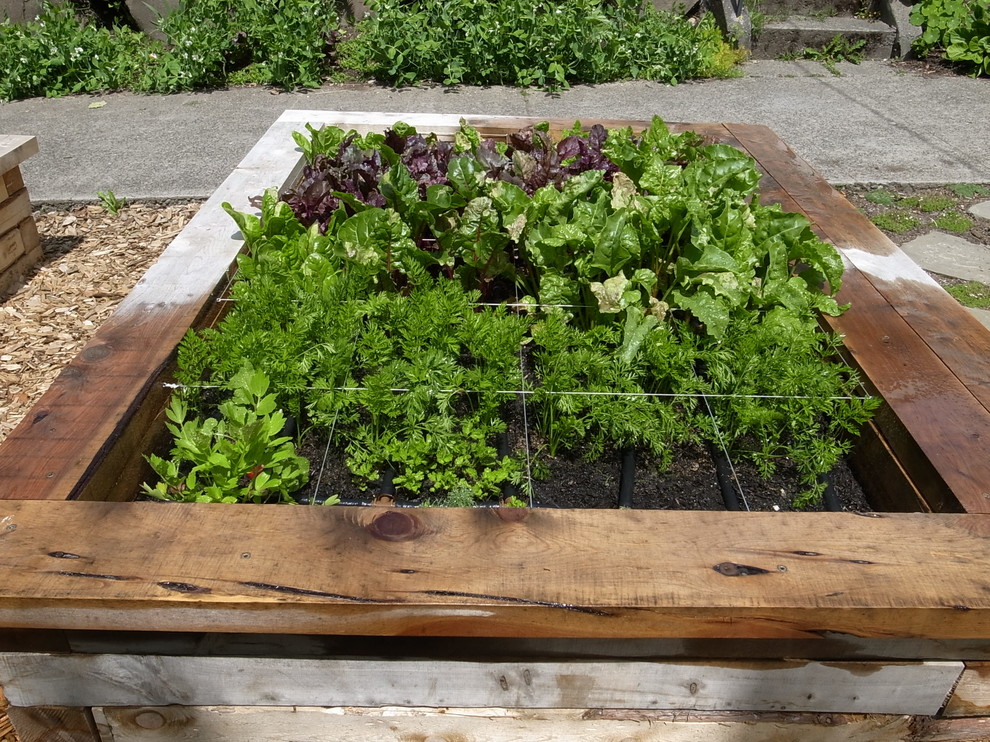 Design ideas for a traditional landscaping in Seattle.