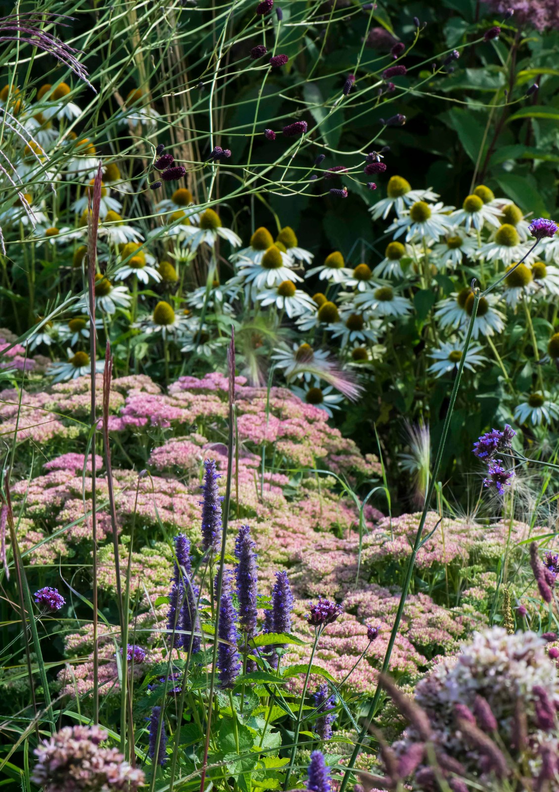Большой сад в пригороде