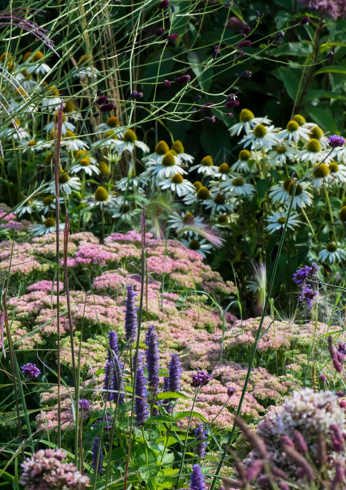 Большой сад в пригороде