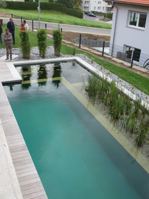 BioNova Natural Swimming Pools - International swimming-pool-and-hot-tub