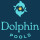 Dolphin Pool Construction