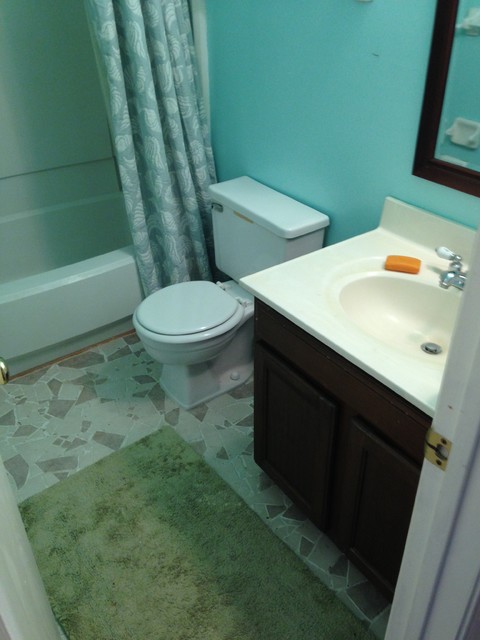Guest Bath Refresh transitional