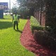CM Landscaping / Vegetation Management