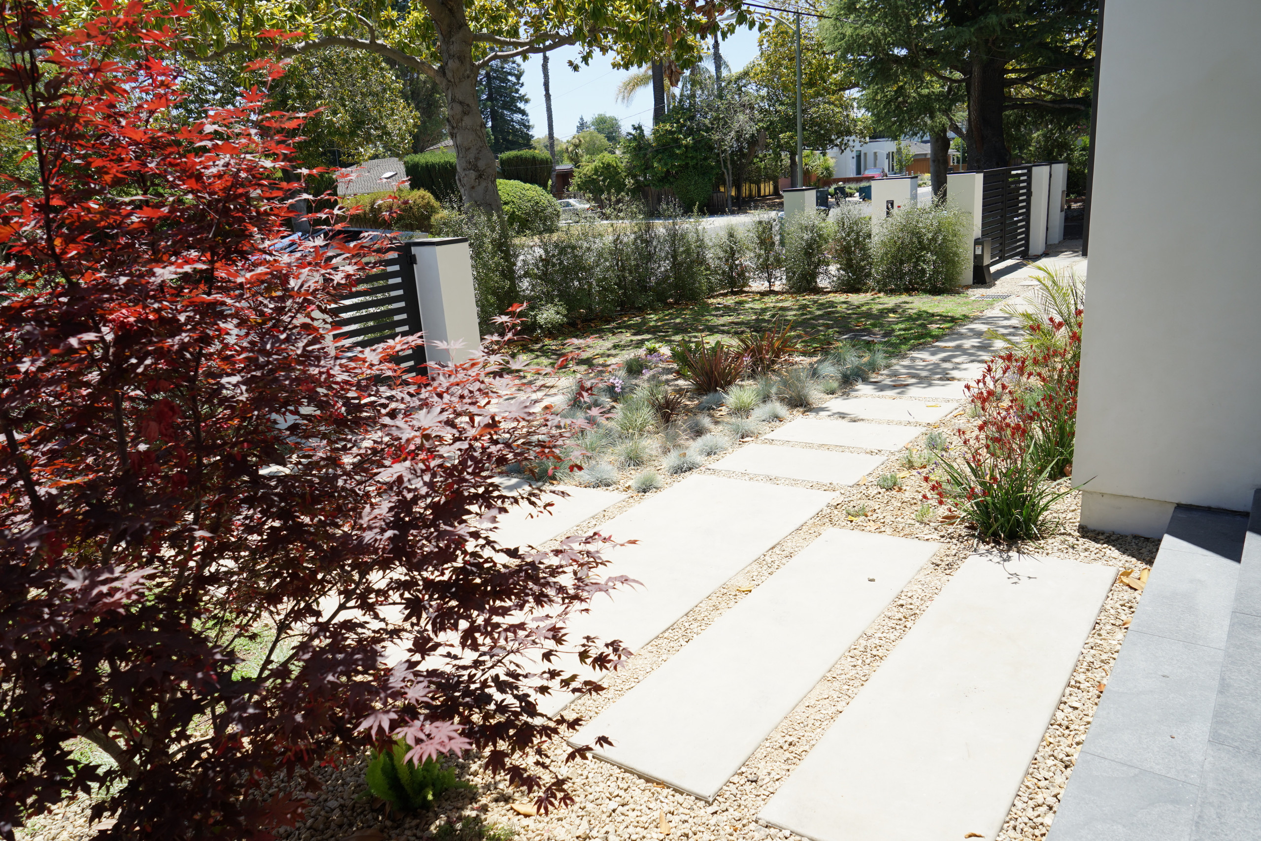Palo Alto Mediterranean Landscape