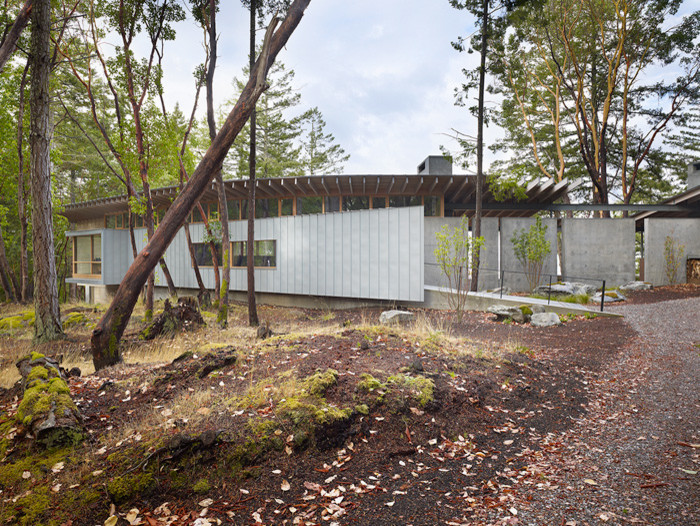 This is an example of a contemporary one-storey grey exterior in Seattle with metal siding and a shed roof.